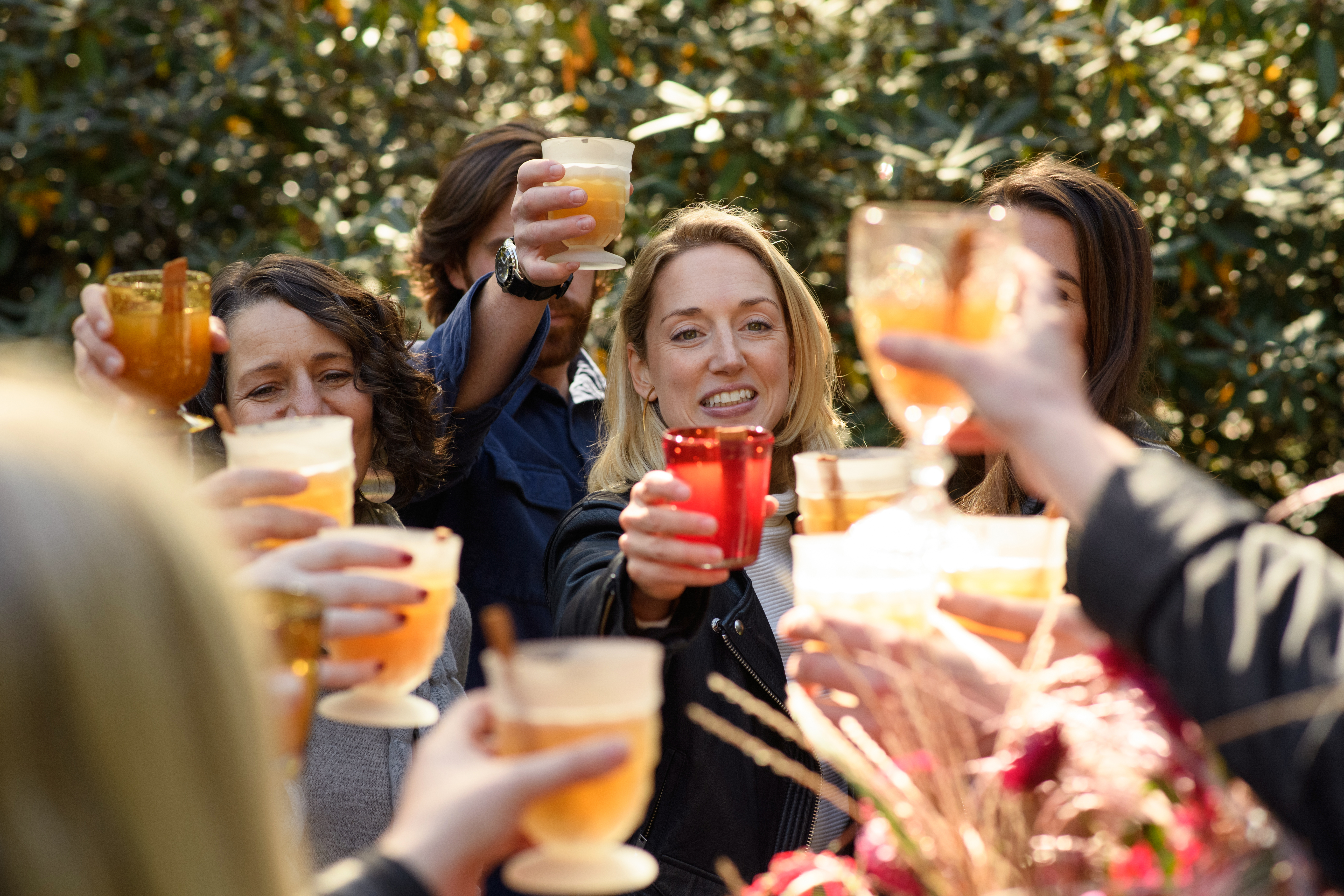 Friends raising glasses in a toast at an outdoor gathering